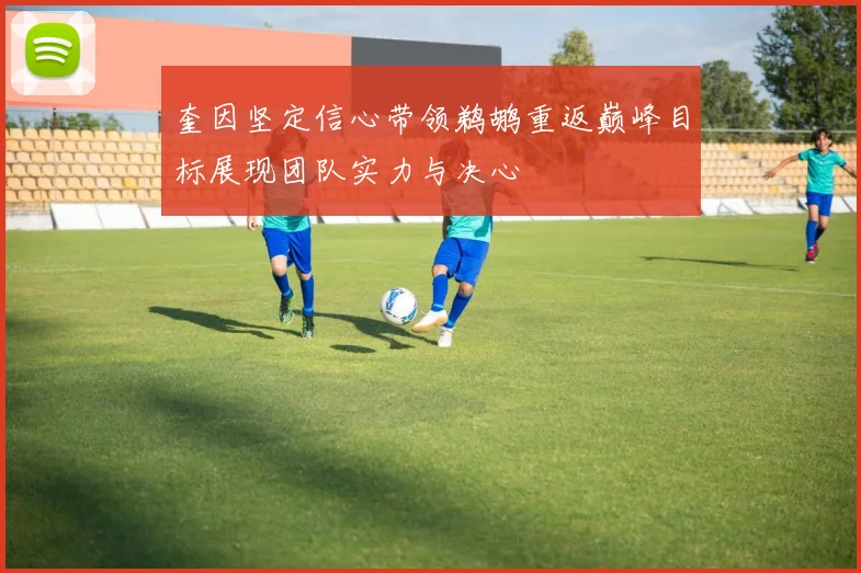 奎因坚定信心带领鹈鹕重返巅峰目标展现团队实力与决心